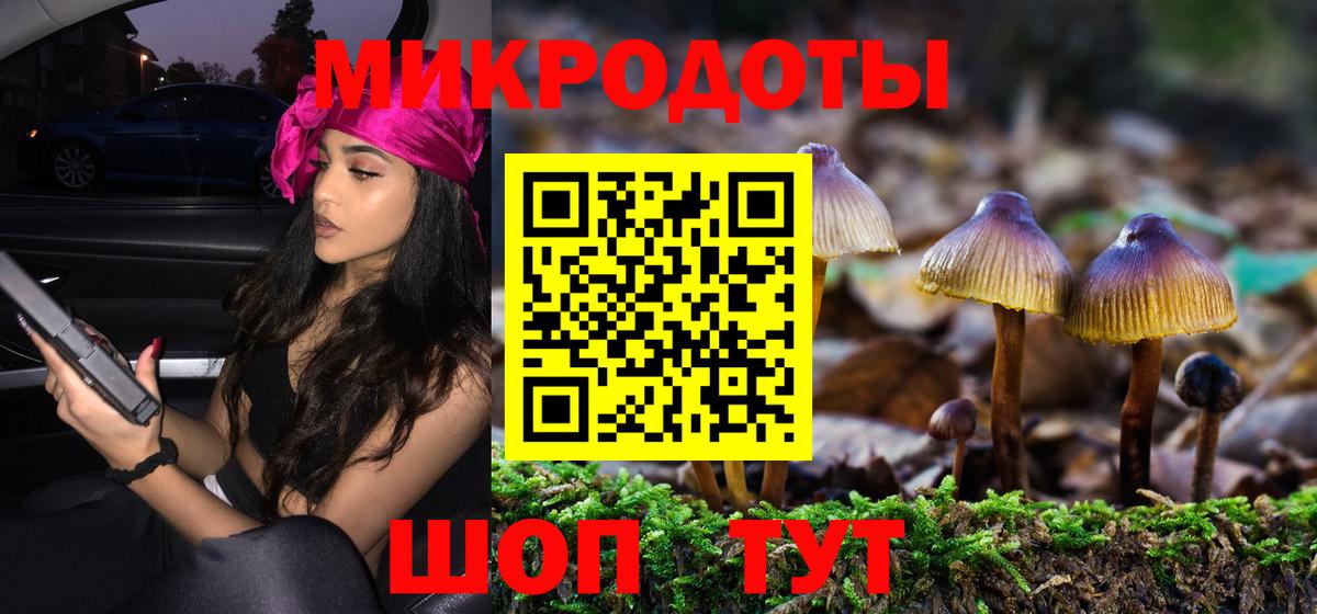 Галлюциногенные грибы GOLDEN TEACHER  купить наркотики цена  Дмитров  Вход с VPN 