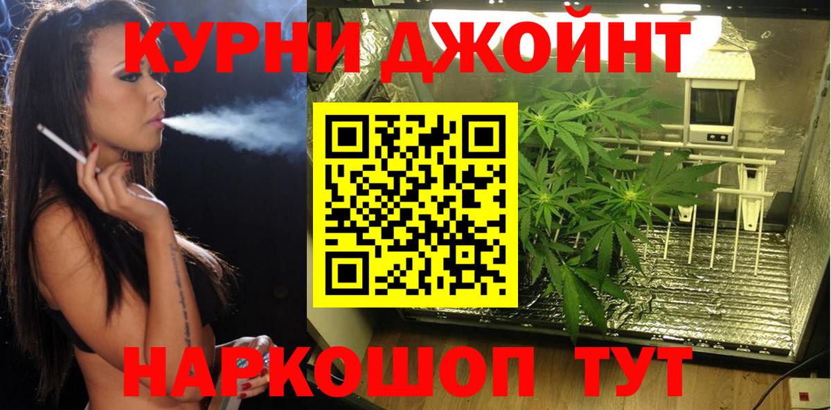 Бошки марихуана MAZAR  Вход с VPN  Бошки марихуана THC 21%  Дмитров  Конопля тримм  Конопля индика 